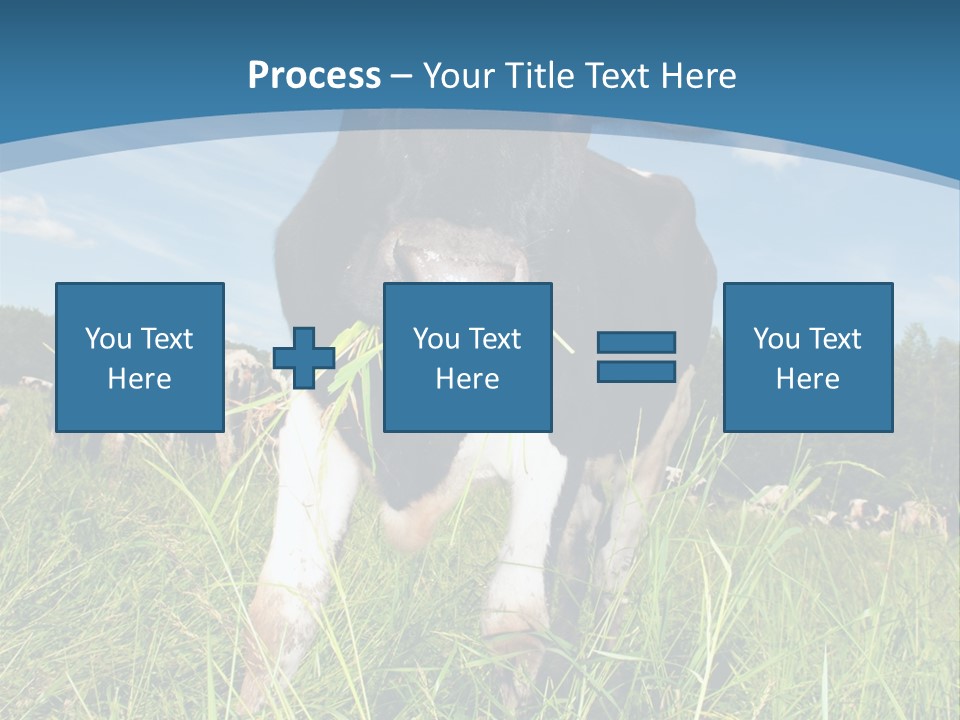 Stickers Vache PowerPoint Template
