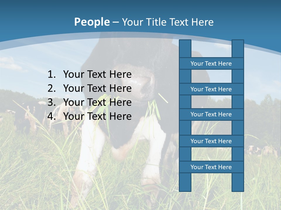 Stickers Vache PowerPoint Template