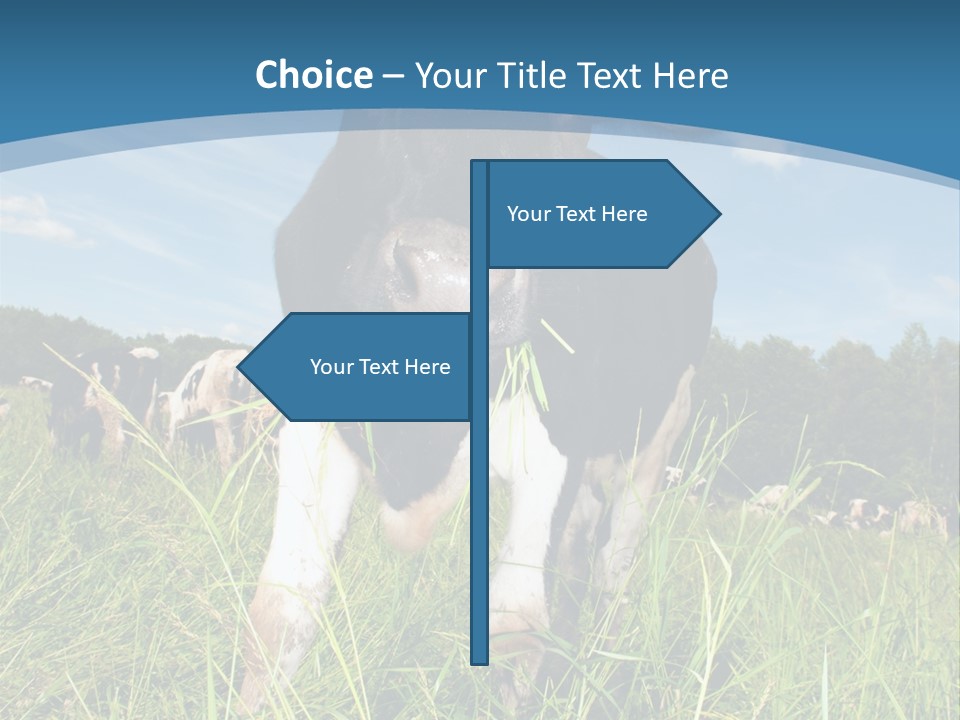 Stickers Vache PowerPoint Template