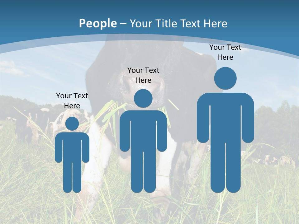 Stickers Vache PowerPoint Template