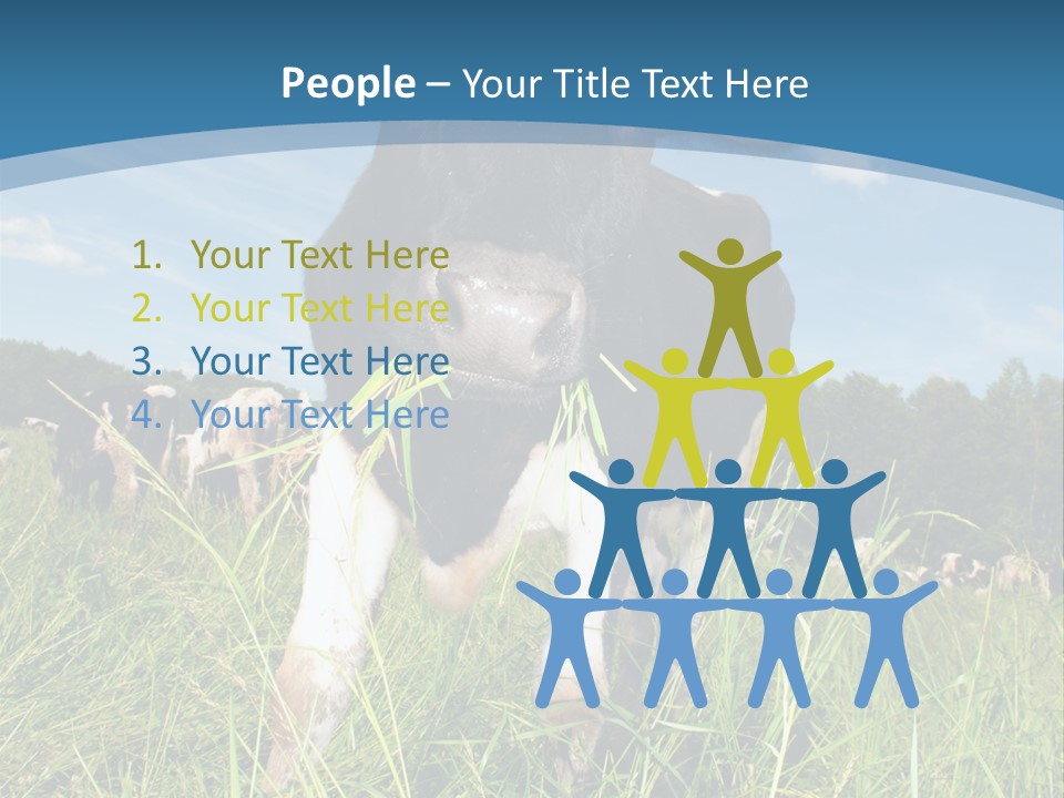 Stickers Vache PowerPoint Template