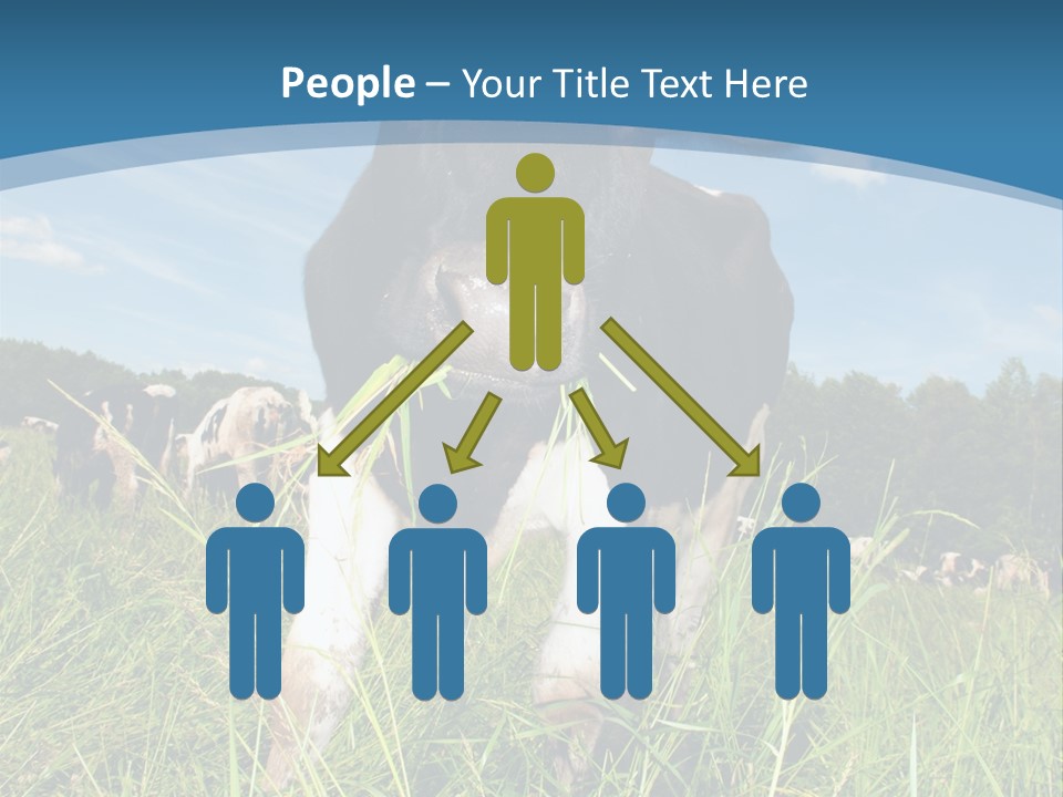 Stickers Vache PowerPoint Template