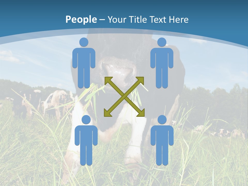 Stickers Vache PowerPoint Template