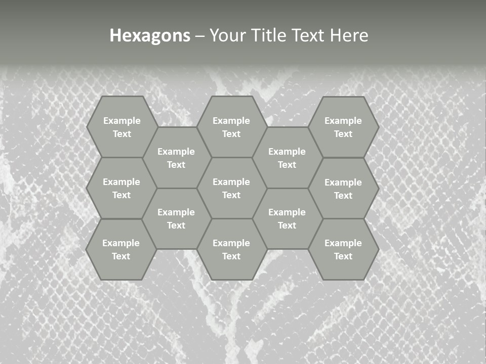 Snake Skin PowerPoint Template
