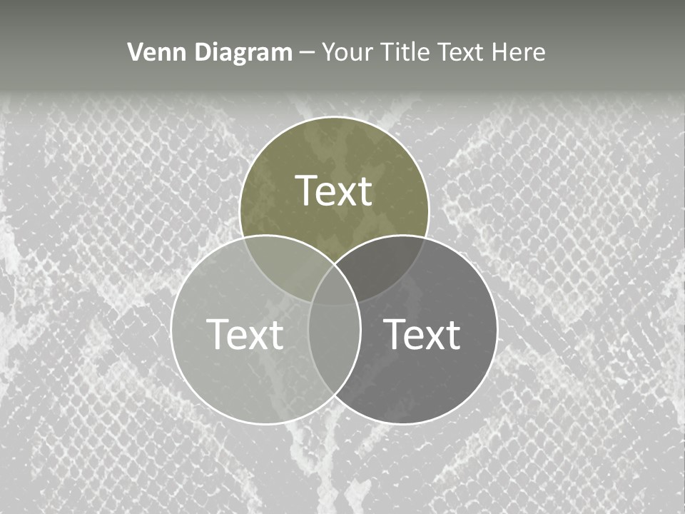 Snake Skin PowerPoint Template