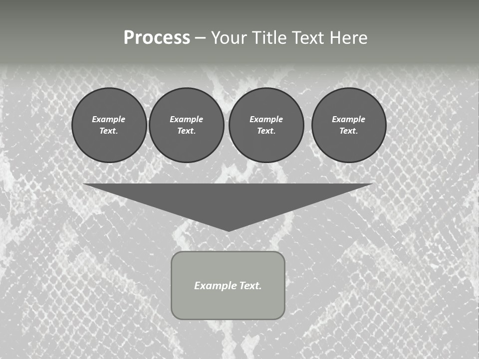 Snake Skin PowerPoint Template
