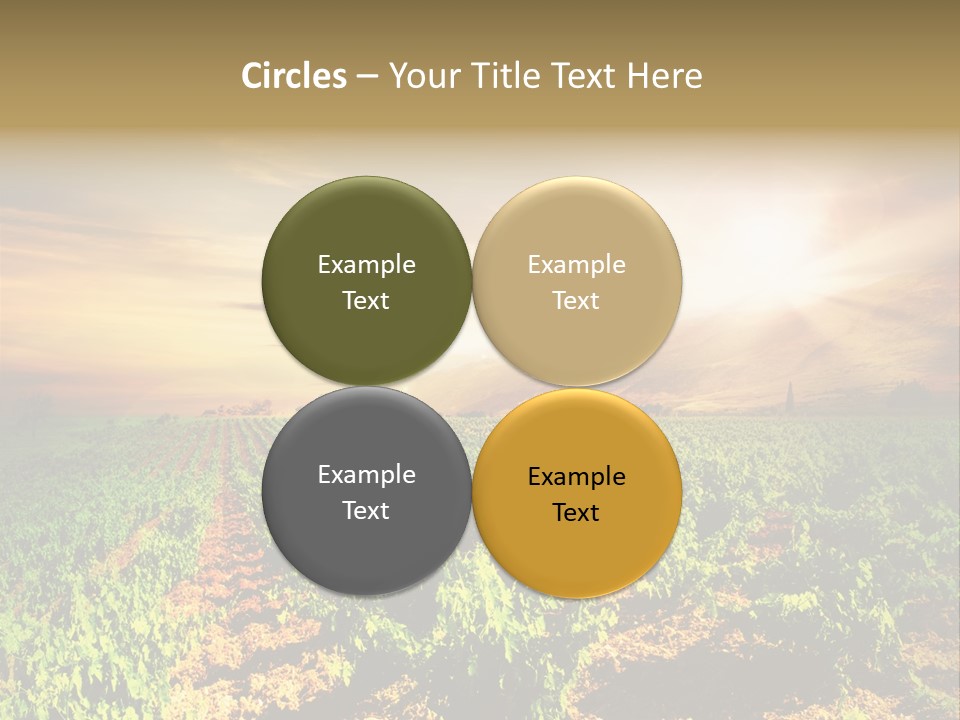 Agricultural Investment PowerPoint Template