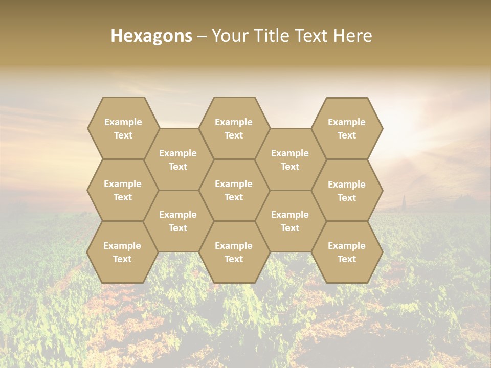 Agricultural Investment PowerPoint Template