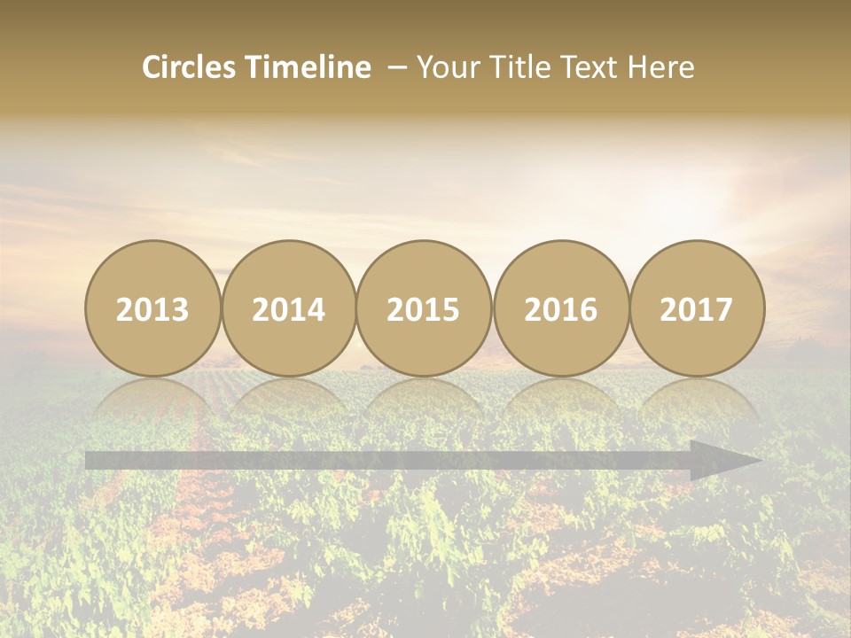 Agricultural Investment PowerPoint Template