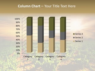 Agricultural Investment PowerPoint Template