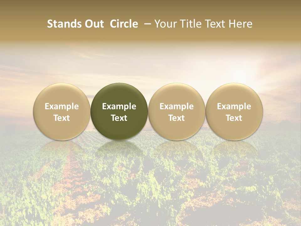 Agricultural Investment PowerPoint Template