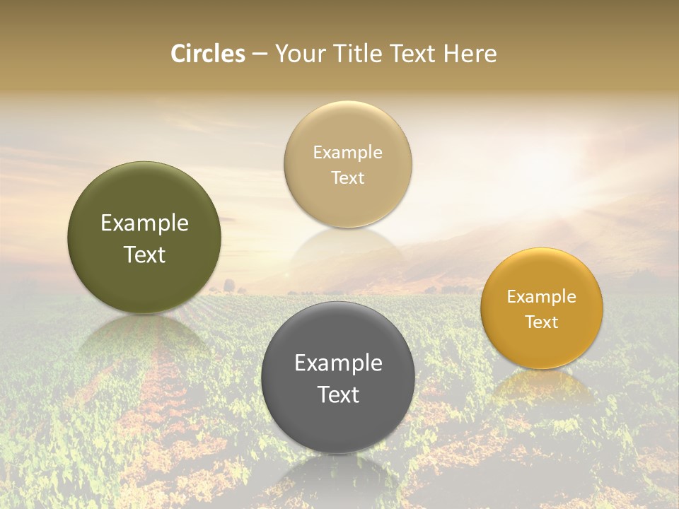 Agricultural Investment PowerPoint Template