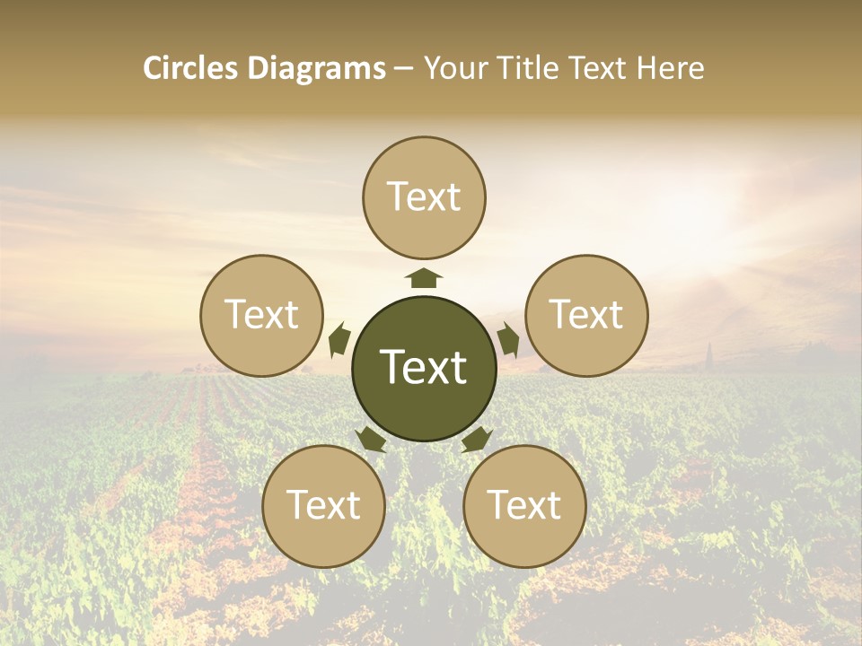 Agricultural Investment PowerPoint Template