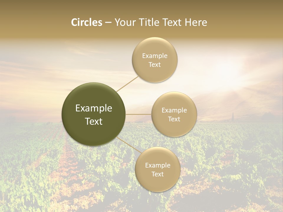 Agricultural Investment PowerPoint Template