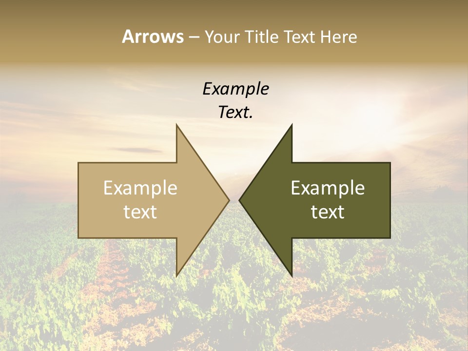 Agricultural Investment PowerPoint Template