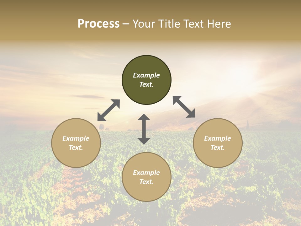 Agricultural Investment PowerPoint Template