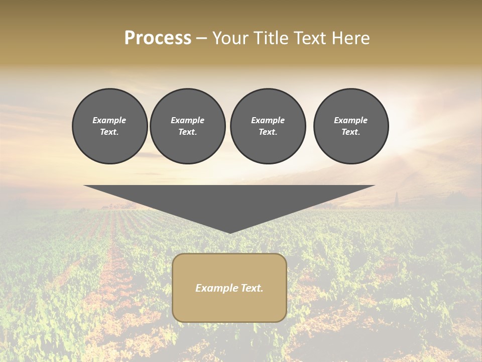 Agricultural Investment PowerPoint Template