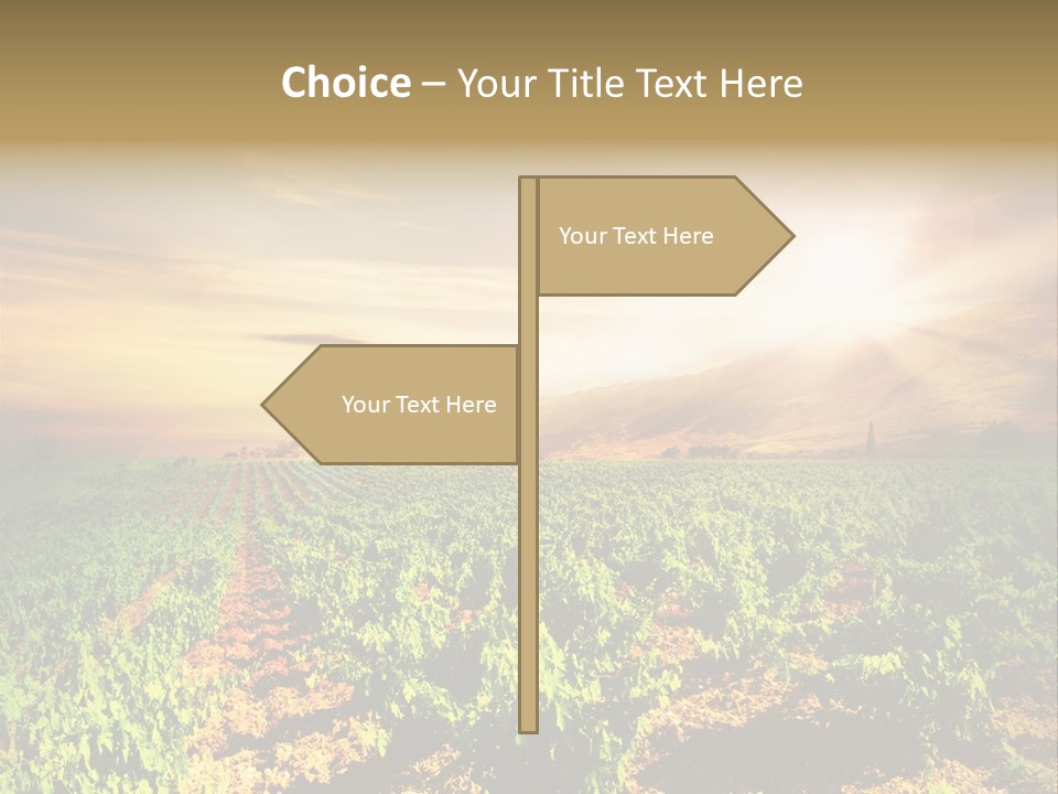 Agricultural Investment PowerPoint Template