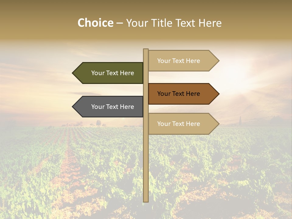Agricultural Investment PowerPoint Template