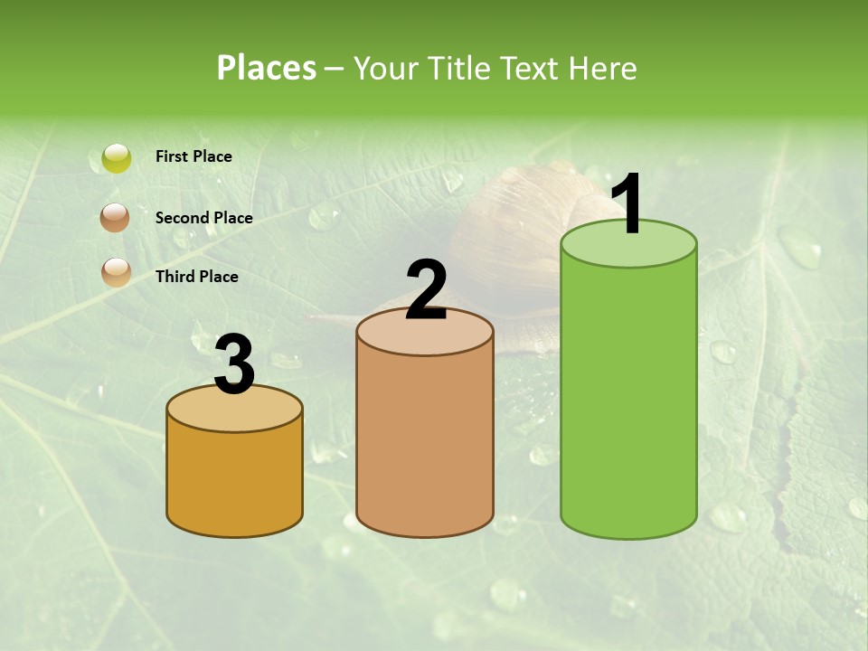 Snail On A Leaf PowerPoint Template