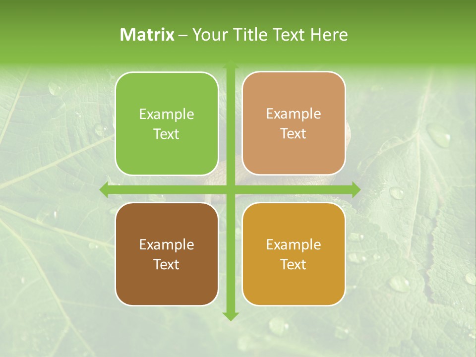 Snail On A Leaf PowerPoint Template