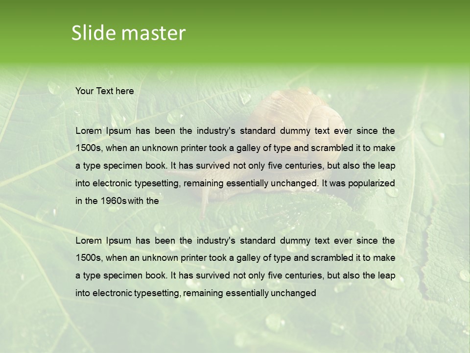 Snail On A Leaf PowerPoint Template