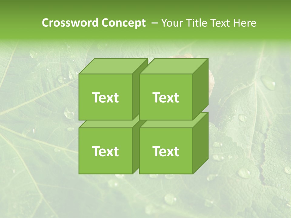 Snail On A Leaf PowerPoint Template