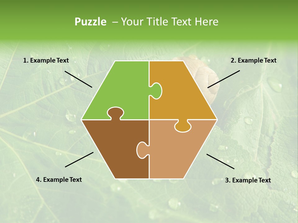 Snail On A Leaf PowerPoint Template