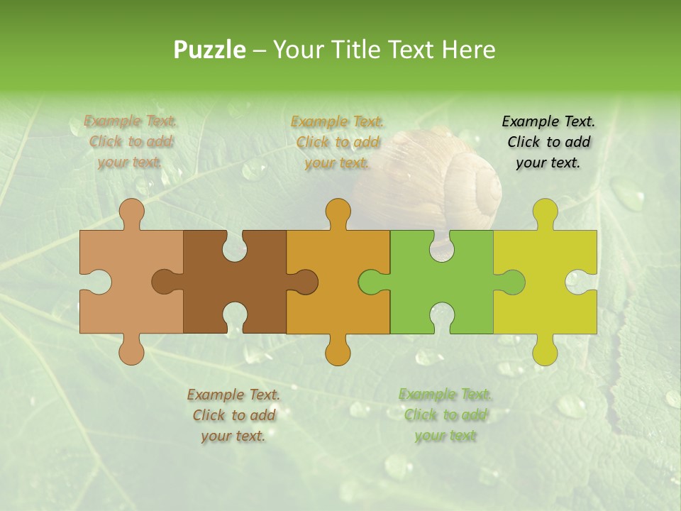 Snail On A Leaf PowerPoint Template