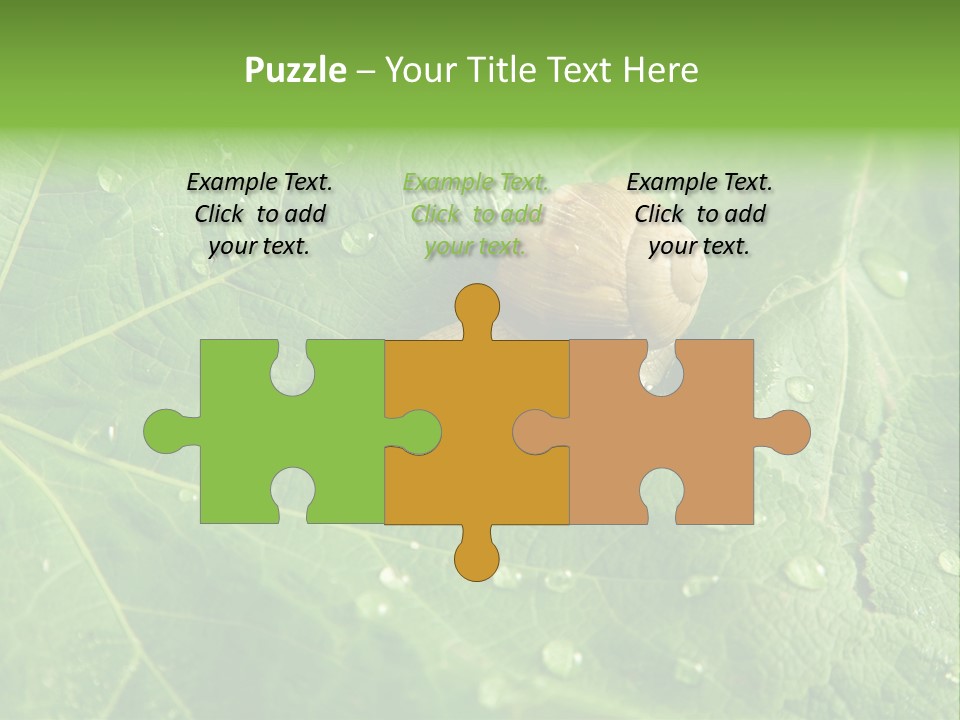 Snail On A Leaf PowerPoint Template