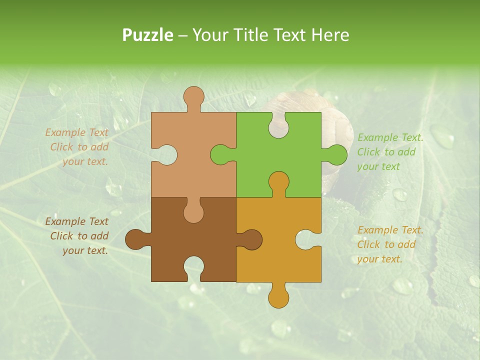 Snail On A Leaf PowerPoint Template