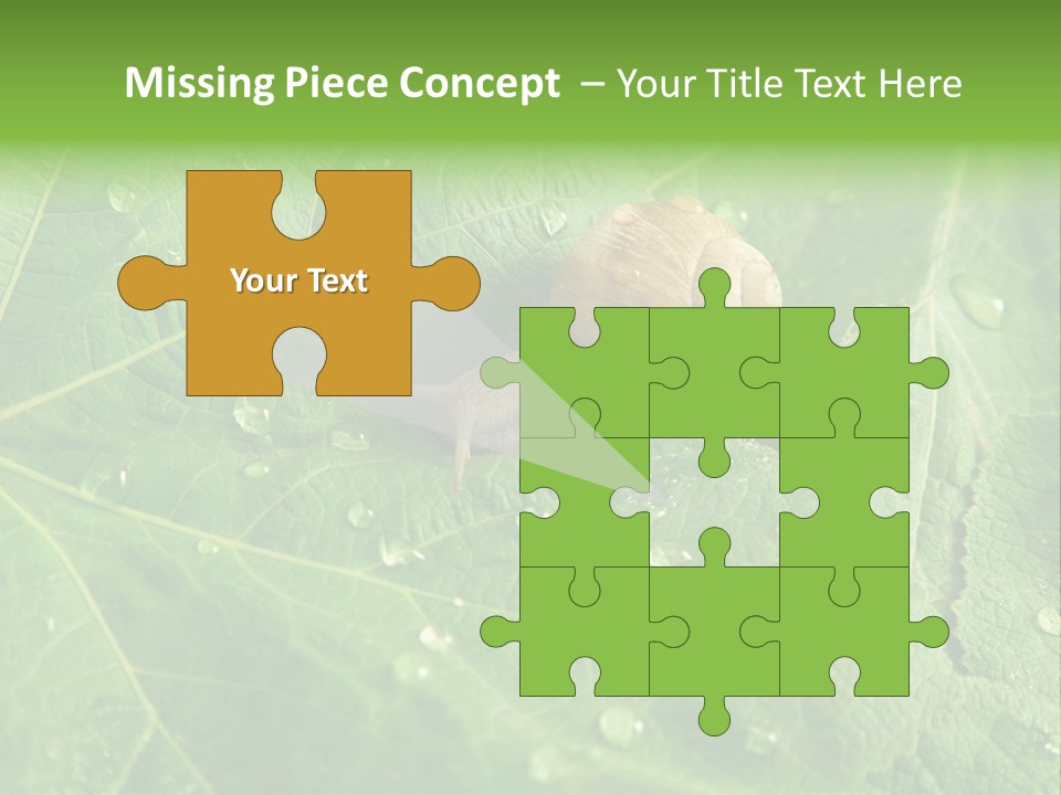 Snail On A Leaf PowerPoint Template