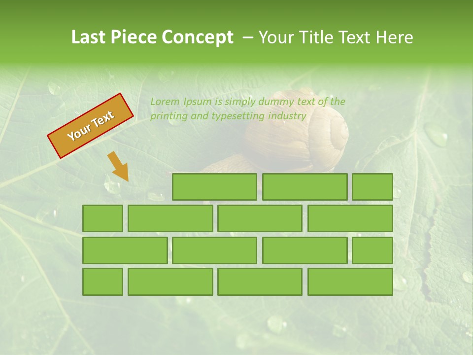 Snail On A Leaf PowerPoint Template