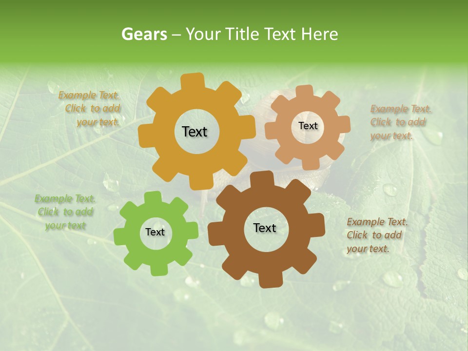 Snail On A Leaf PowerPoint Template