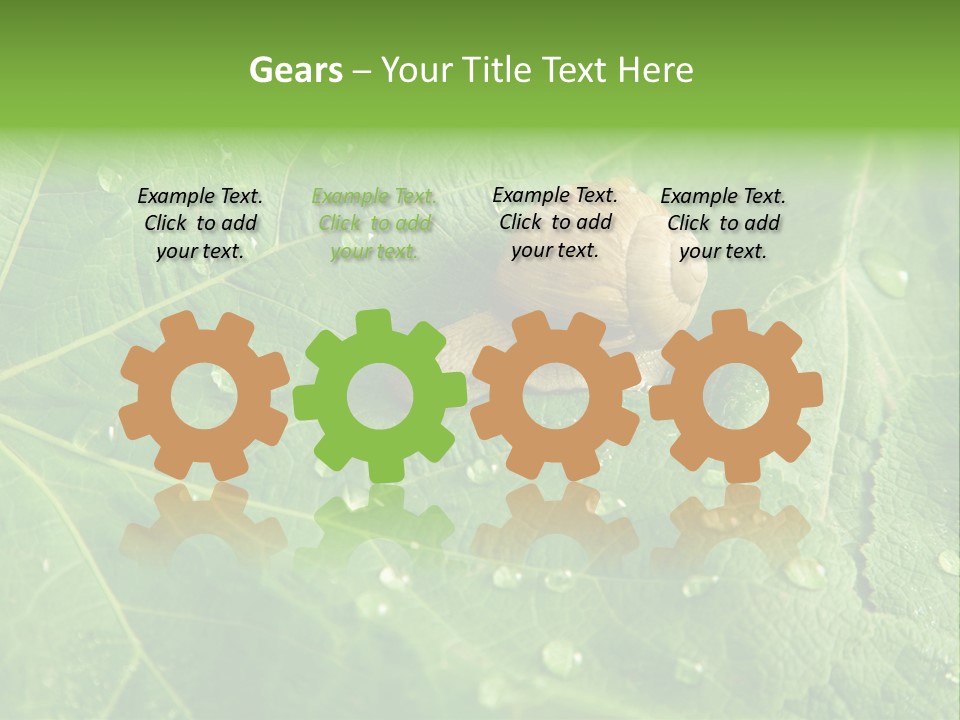 Snail On A Leaf PowerPoint Template