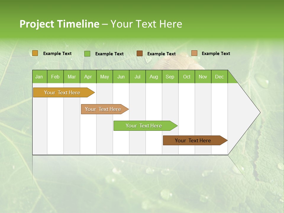 Snail On A Leaf PowerPoint Template