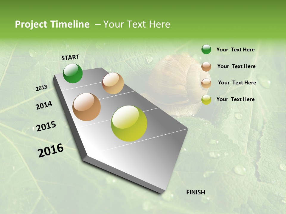 Snail On A Leaf PowerPoint Template