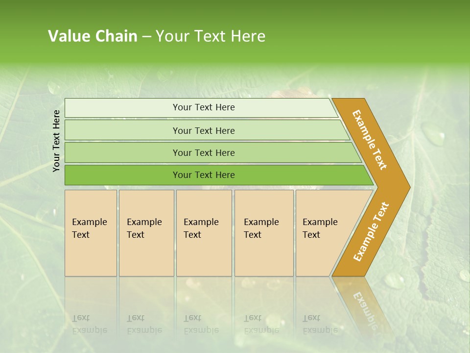 Snail On A Leaf PowerPoint Template