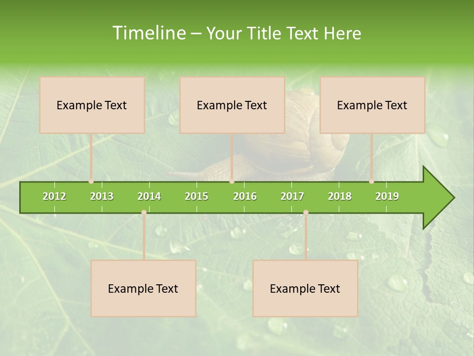 Snail On A Leaf PowerPoint Template