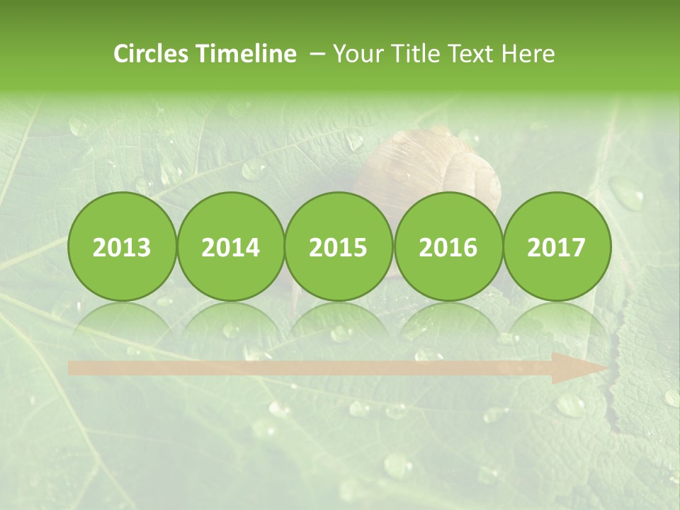 Snail On A Leaf PowerPoint Template