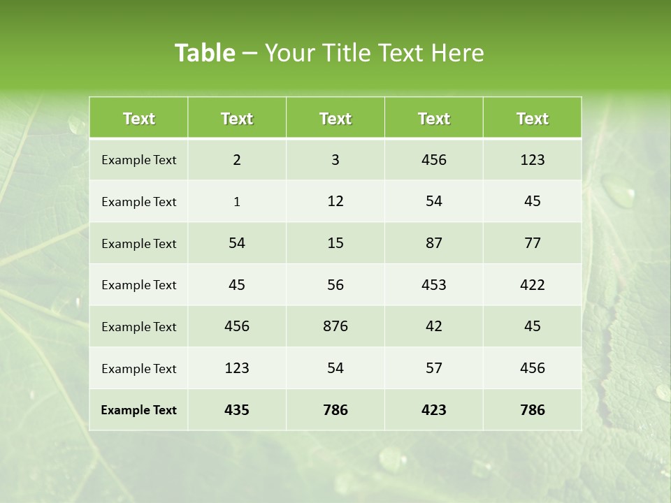 Snail On A Leaf PowerPoint Template