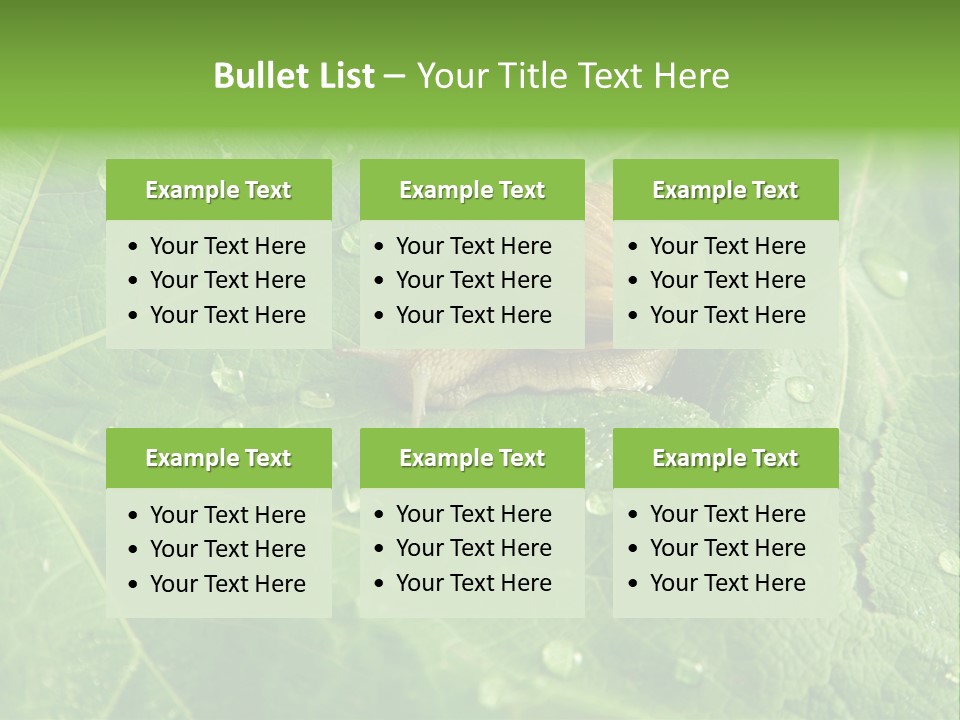 Snail On A Leaf PowerPoint Template