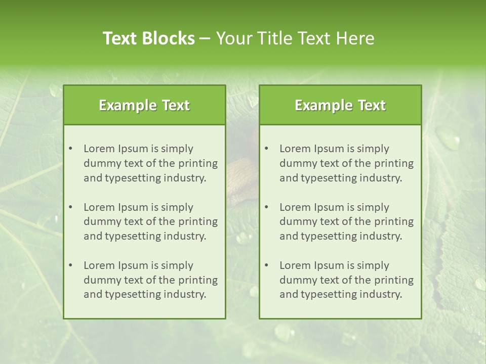 Snail On A Leaf PowerPoint Template