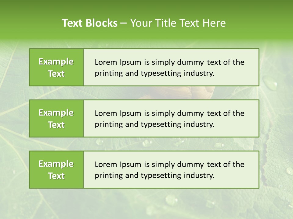 Snail On A Leaf PowerPoint Template