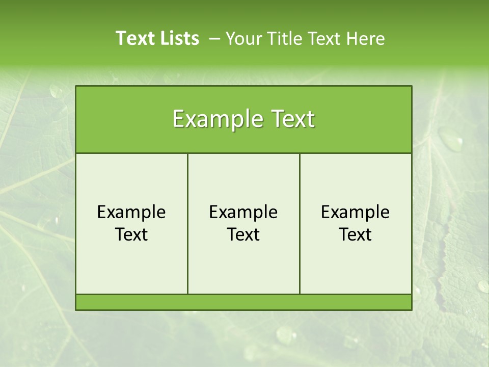 Snail On A Leaf PowerPoint Template