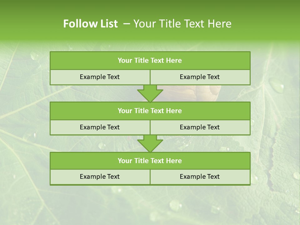 Snail On A Leaf PowerPoint Template