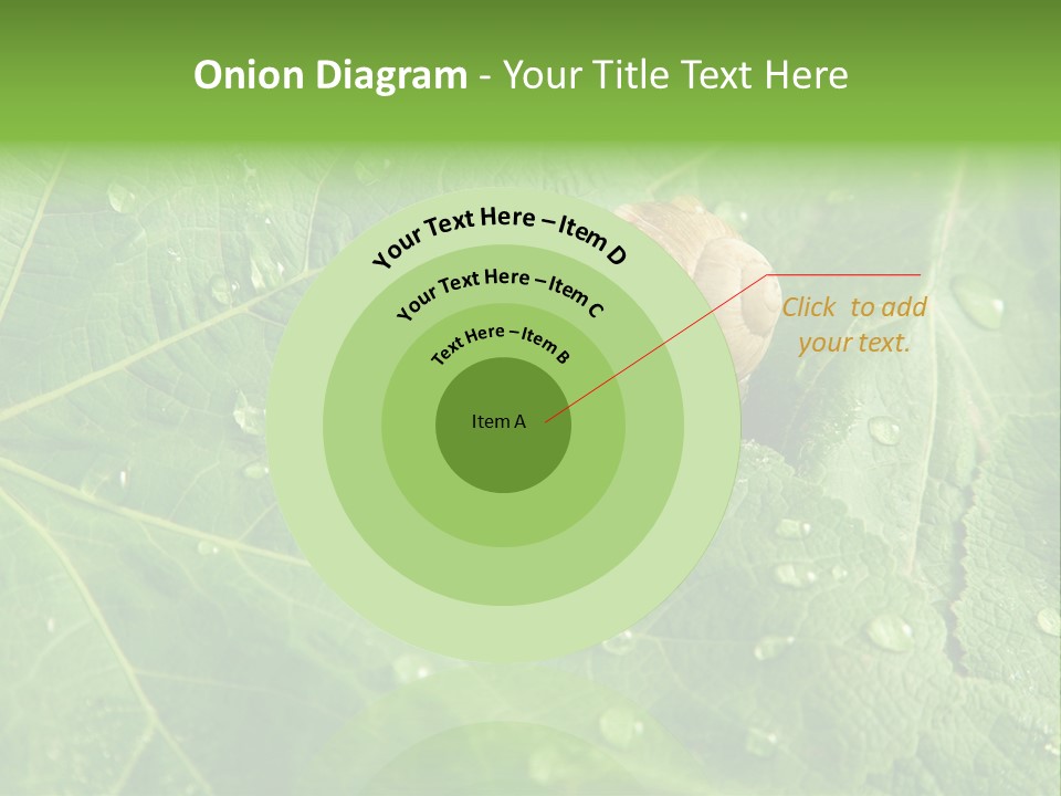 Snail On A Leaf PowerPoint Template