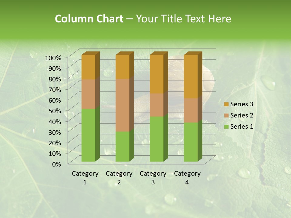 Snail On A Leaf PowerPoint Template