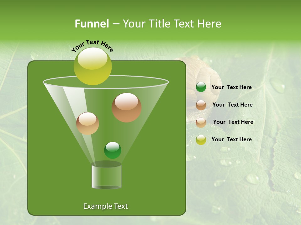 Snail On A Leaf PowerPoint Template