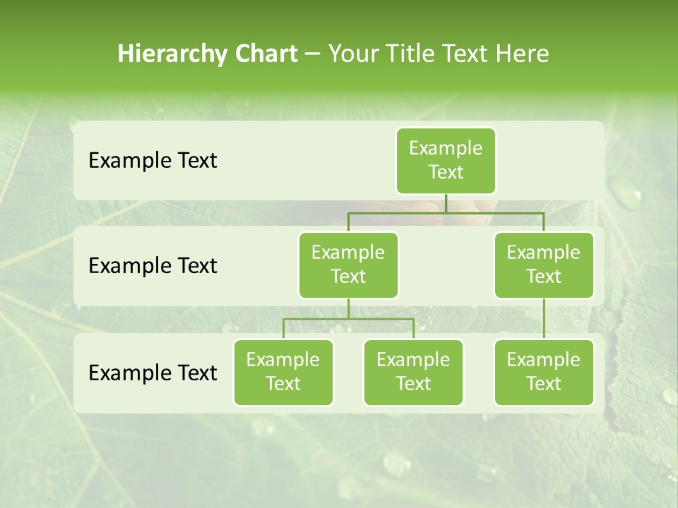 Snail On A Leaf PowerPoint Template
